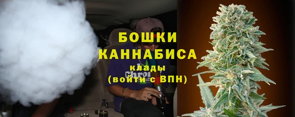 амф Краснослободск