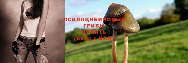 амф Краснослободск