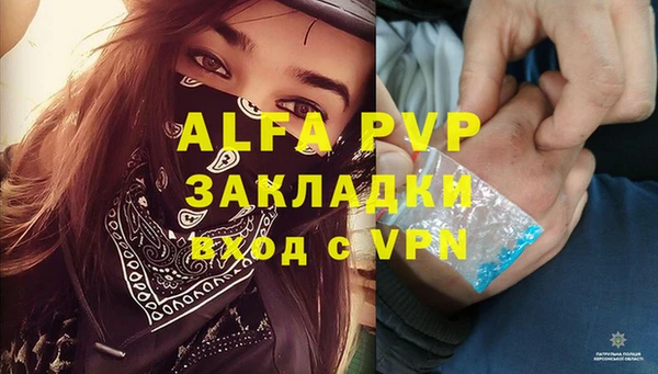 амф Краснослободск
