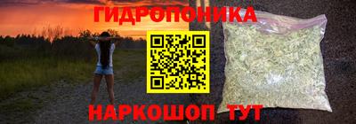 прущие крисы Тара