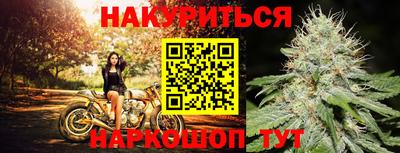 прущие крисы Тара