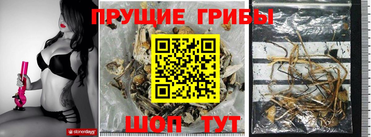 Псилоцибиновые грибы прущие грибы  где продают   Топки  Вход с VPN 